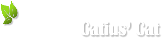 Catius Cat