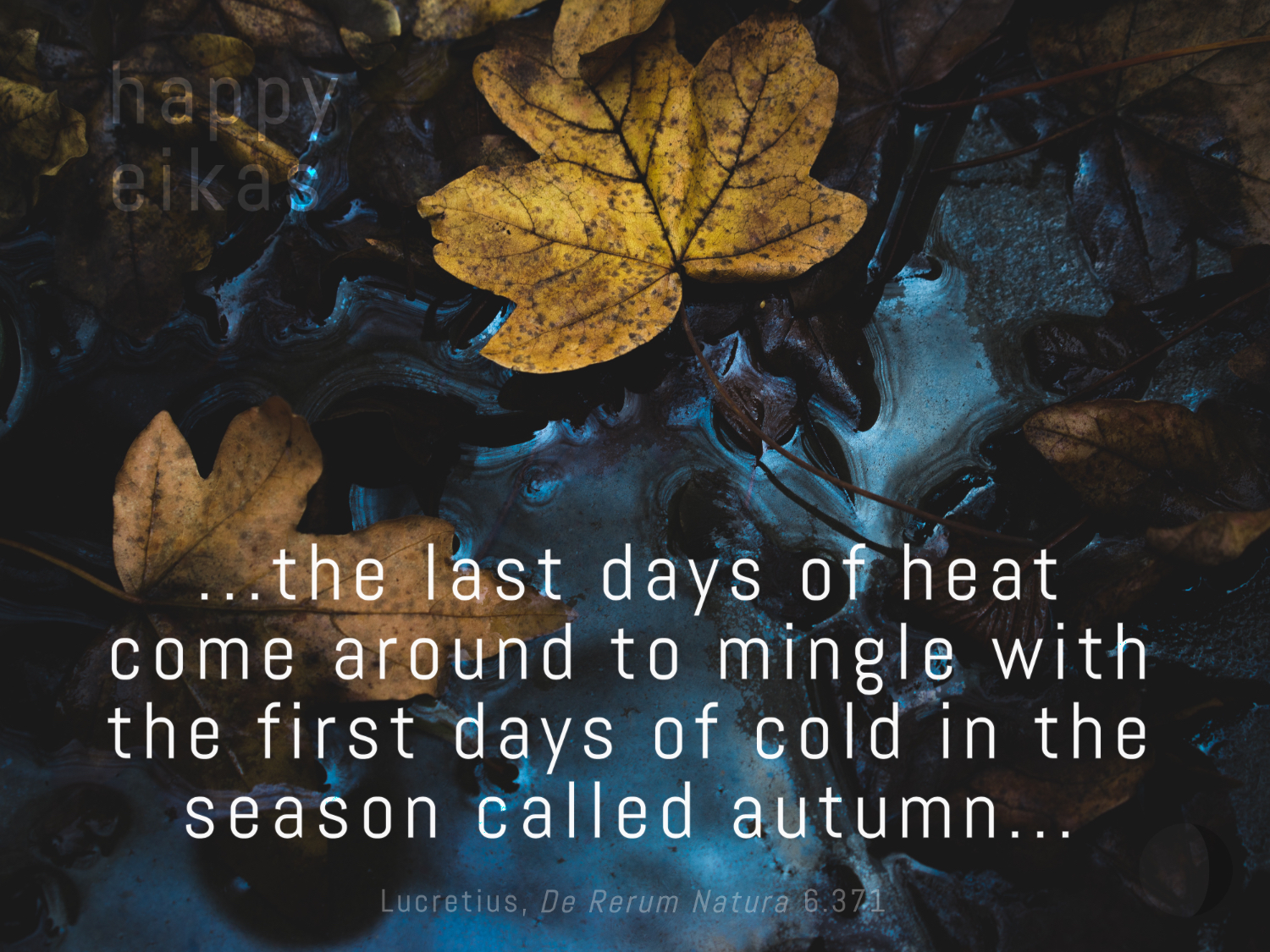 The Last Days of Heat (Happy Eikas!)