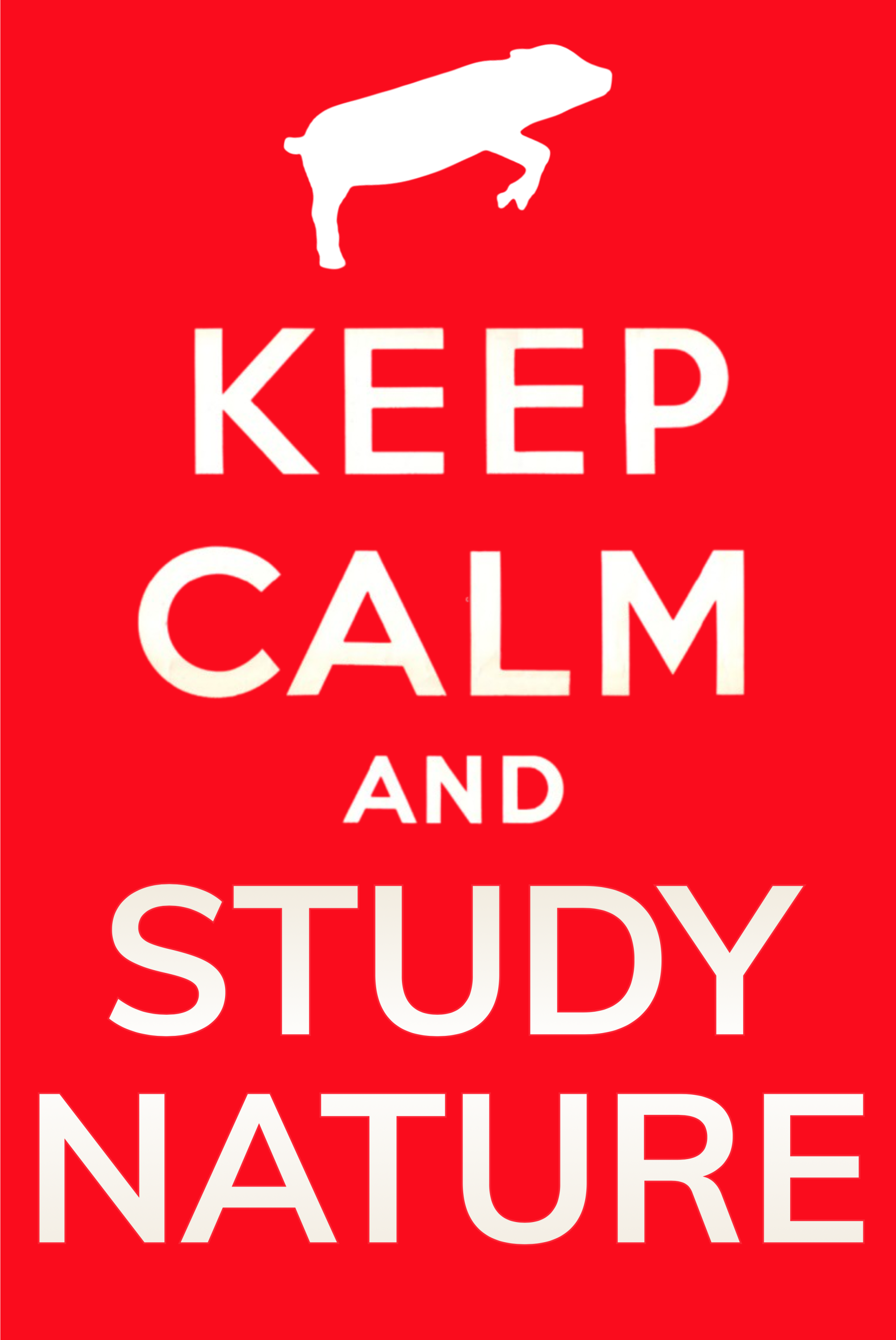 Keep Calm and Study Nature