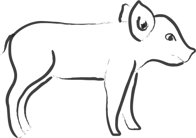 Ink Brush Outline of Piglet