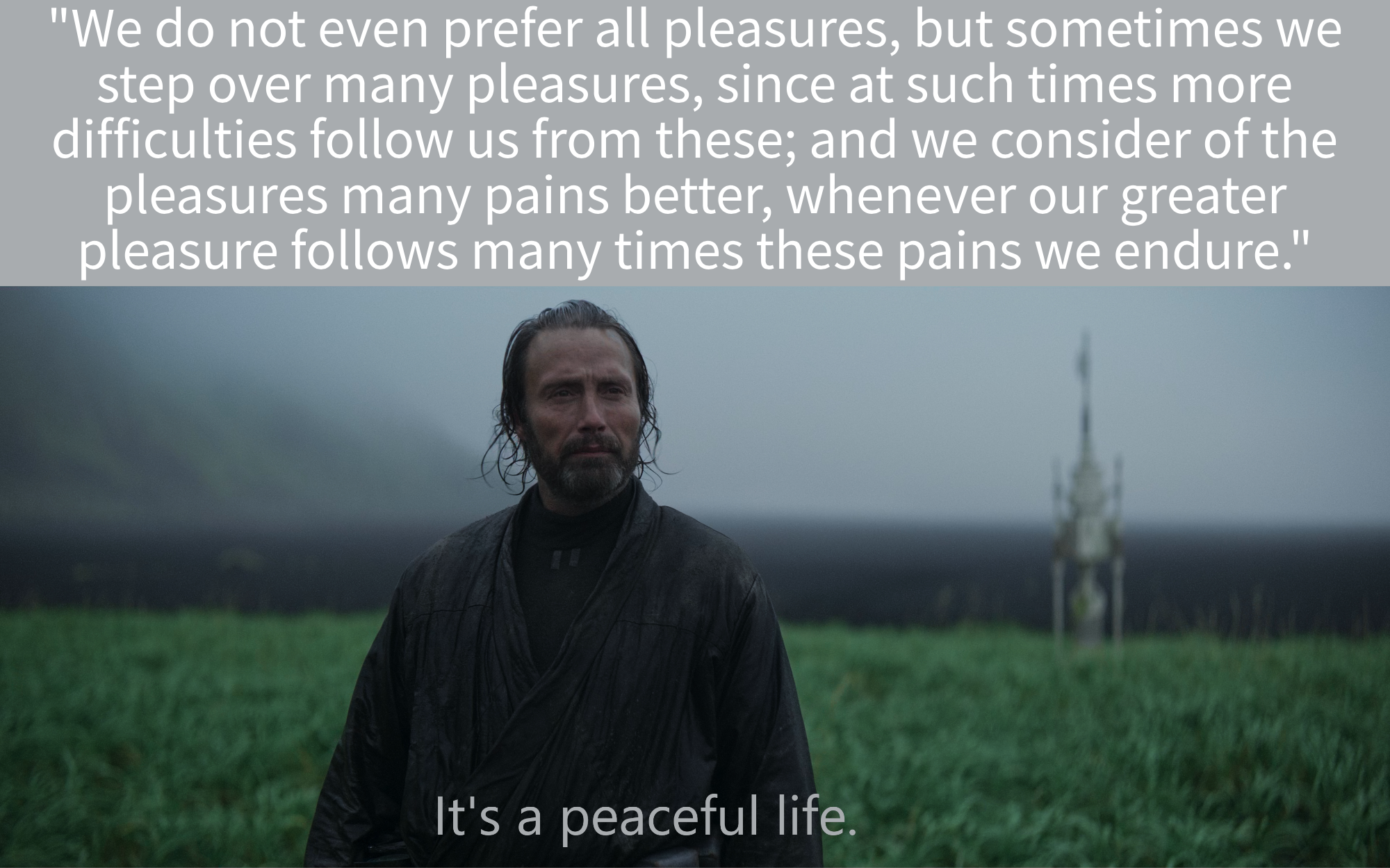 It's a Peaceful Life