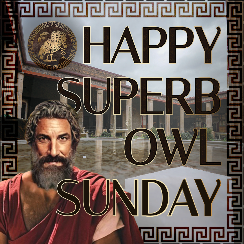 Happy Superb Owl Sunday